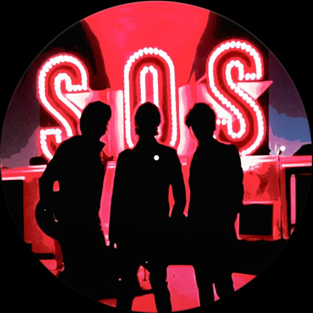 Jonas Brothers SOS Picture Disc Vinyl LP